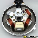 Accensione elettronica 6V (cono piccolo) completa Peugeot 103 SPX,  RCX, Clip ...