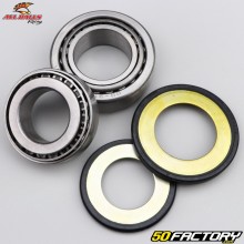 Rolamentos da coluna de direção Honda NC 700, 750 All Balls