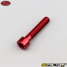 Parafuso 6x30 mm cabeça BTR Evotech vermelho (por unidade)