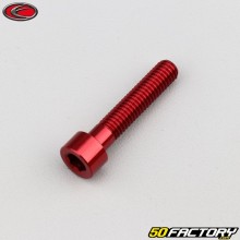 Vite 6x30 mm testa BTR Evotech rossa (per unità)