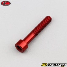 Vite 6x35 mm testa BTR Evotech rossa (per unità)