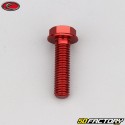 8x30 mm screw hex head Evotech base red (per unit)