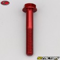 8x50 mm screw hex head Evotech base red (per unit)