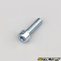 Screw 6x20 mm BTR head (200 pieces)