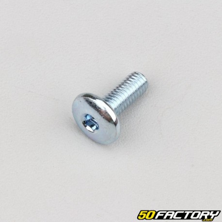 Cabezal abovedado BTR con tornillo M6x16mm (por unidad)