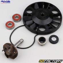 Water pump Piaggio Beverly 125, 200 (2001 - 2003) Hexagon GTX 125, 180... RMS (repair kit)