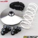 Variatore Honda Forza, SH125 Malossi Multivar 2000