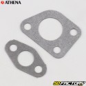 Engine seals Yamaha DT LC 50 Athena