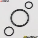 Engine seals Yamaha DT LC 50 Athena