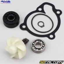 Water pump Yamaha Nmax, MT... 125, 150 RMS (repair kit)