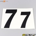 Números XNUMX Evo-X Racing  pretos foscos (conjunto de XNUMX)