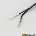 Sinalizadores traseiros Lexus Peugeot Speedfight 1, 2