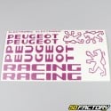 Kit decorativo Peugeot 103 RCX Racing violeta claro