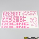 Kit grafiche adesivi Peugeot 103 RCX Racing rosa