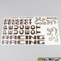 Kit grafiche adesivi Peugeot 103 RCX Racing marrone
