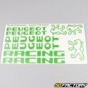 Kit grafiche adesivi Peugeot 103 RCX Racing erba verde
