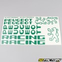 Kit déco Peugeot 103 RCX Racing vert
