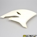 Front fairings Yamaha DT 50, MBK Xlimit (since 2003) (to be painted)