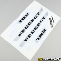 Kit decorativo Peugeot 102K gris