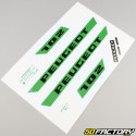 Decoration  kit Peugeot 102 K green