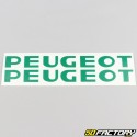 Decalcomanie coperchio motore Peugeot 103 verde