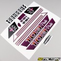 Kit decorativo Peugeot 103 Pink