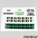 Kit grafiche adesivi Peugeot GL10 verde