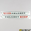 Kit gráfico padrão Peugeot 103 VS cinza