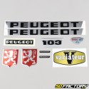 Kit gráfico estándar Peugeot 103 VS verde