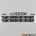 Kit déco Peugeot 105