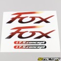 Kit déco Peugeot FOX