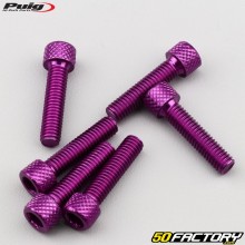 Screws 6x25 mm head BTR Puig purple (set of 6)