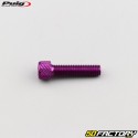 Parafusos 6x25 mm cabeça BTR Puig roxo (conjunto de 6)