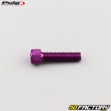 Screws 6x25 mm head BTR Puig purple (set of 6)