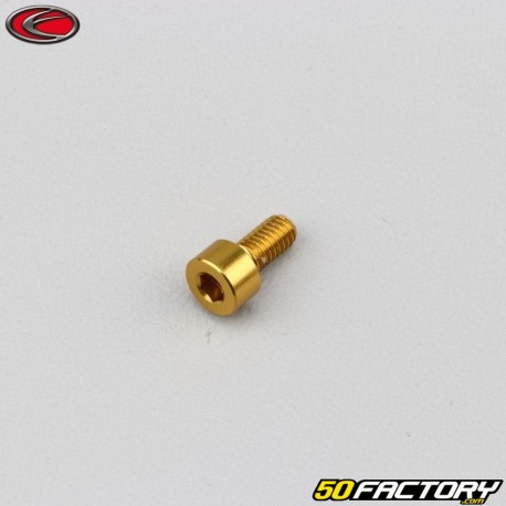 4x8 mm Schraube BTR Kopf Evotech Gold (einzeln)