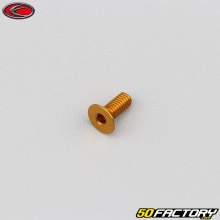 4x10 mm screw BTR countersunk head Evotech gold (single)