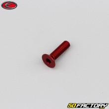 Vite 4x15 mm BTR testa svasata Evotech rosso (per unità)
