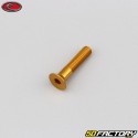 4x20 mm vite BTR testa svasata Evotech gold (singola)