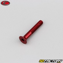 Vite 4x25 mm BTR testa svasata Evotech rosso (per unità)