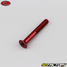 Vite 4x30 mm BTR testa svasata Evotech rosso (per unità)