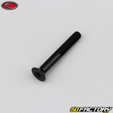 Vite 4x30 mm BTR testa svasata Evotech nero (per unità)