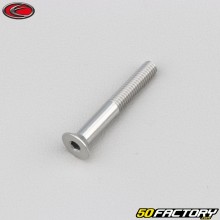 Vite 4x30 mm BTR testa svasata Evotech grigio (per unità)