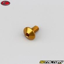 5x10 mm screw BTR domed head Evotech golden (per unit)