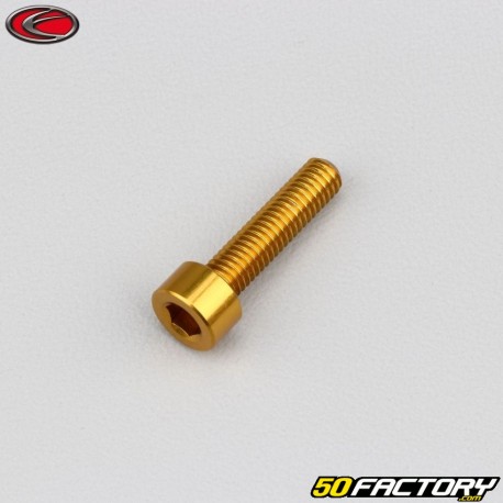 5x20 mm Schraube BTR Kopf Evotech Gold (einzeln)