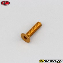 Schraube 5x20 mm BTR Senkkopf Evotech gold (einzeln)