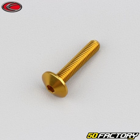 5x25 mm Schraube Evotech Linsenkopf BTR gold (einzeln)