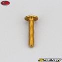 5x25 mm Schraube Evotech Linsenkopf BTR gold (einzeln)