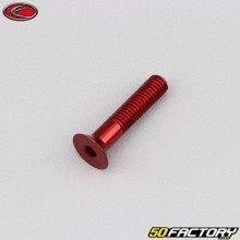 Parafuso 5x25 mm BTR cabeça escareada Evotech vermelho (por unidade)