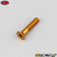 Parafuso 5x25 mm BTR cabeça escareada Evotech dourado (por unidade)