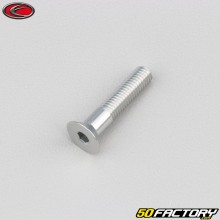 Parafuso 5x25 mm BTR cabeça escareada Evotech cinza (por unidade)